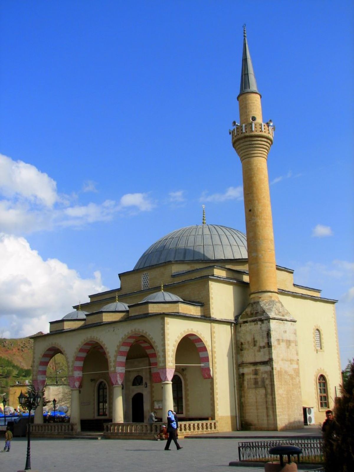 Вейси карани